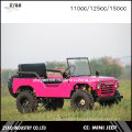 Chine Fabricant Enfant Jeep 150cc Mini Jeep 110cc